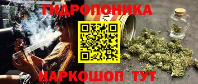 СК Краснодар