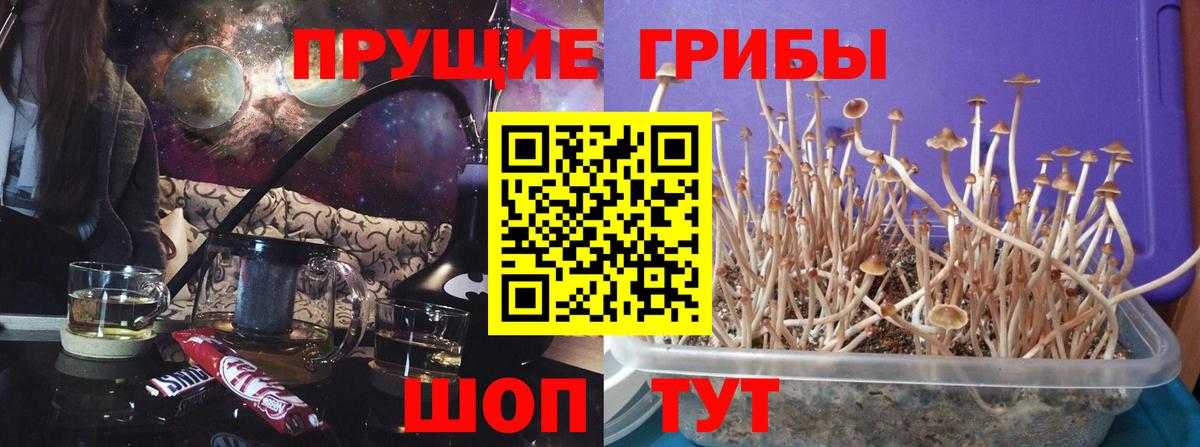 Шахты  Галлюциногенные грибы мицелий  Псилоцибиновые грибы прущие грибы  закладки  Вход с VPN 