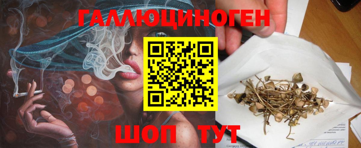 Галлюциногенные грибы Cubensis Шахты